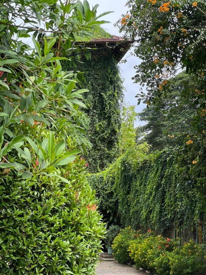 Udf Nature Villa Канди Экстерьер фото
