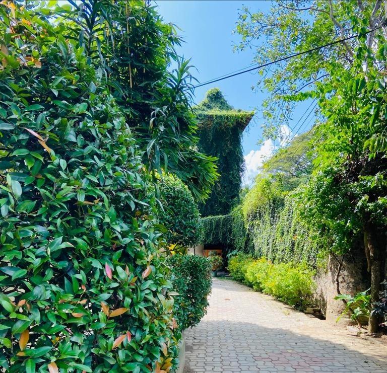 Udf Nature Villa Канди Экстерьер фото